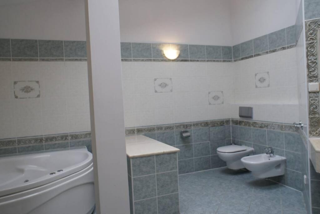 Florianska Penthouse Delux Διαμέρισμα Krasków Εξωτερικό φωτογραφία